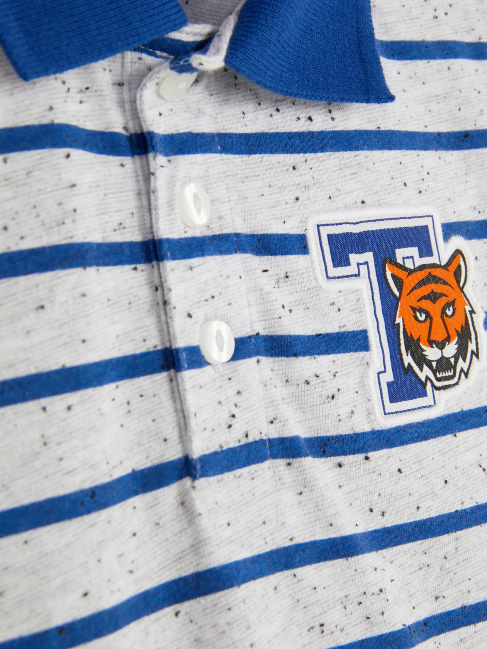 Polo Riscas