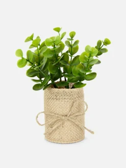 Suculenta Falsa Vaso Juta